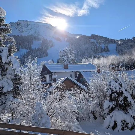 Spatz Am Joch